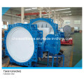 API Cast Iron/Steel, Flanged/Lug/Wafer Butterfly Valve